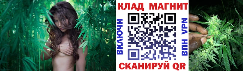 Купить закладку Каннабис  Метадон  ГАШИШ  Меф мяу мяу  Можайск