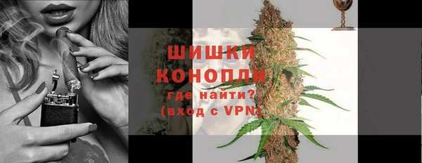 мдпв Горно-Алтайск
