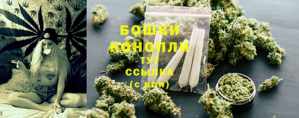 apvp Горняк