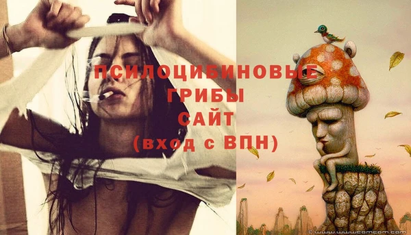 apvp Горняк