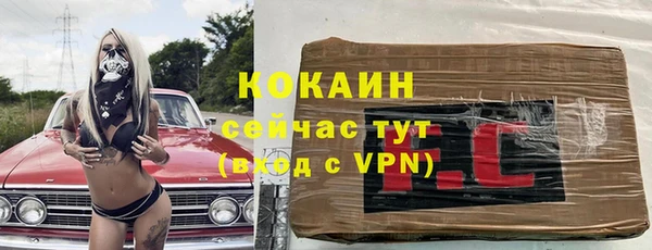 мдпв Горно-Алтайск