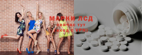 apvp Горняк